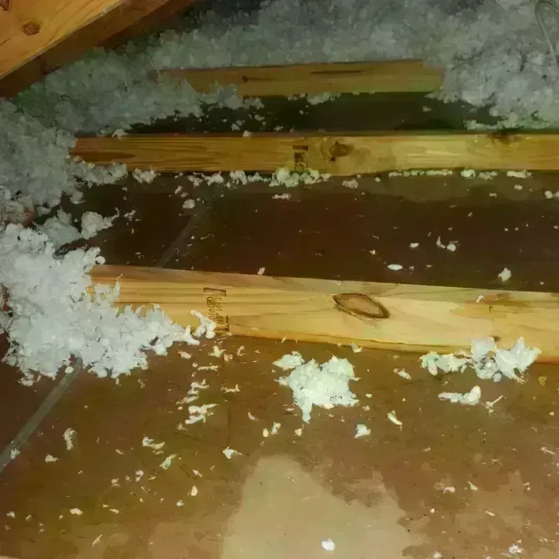 Attic Water Damage in Springfield, OR