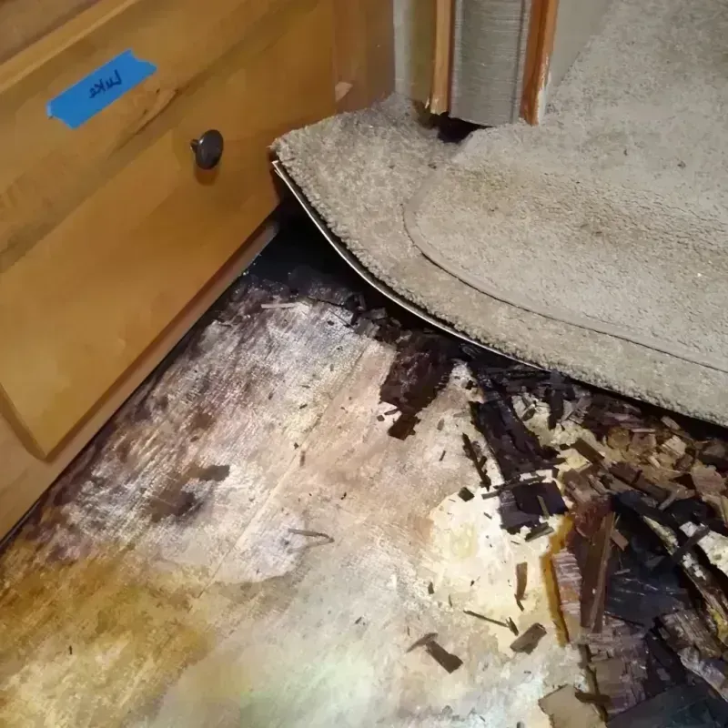 Wood Floor Water Damage in Springfield, OR